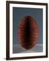 Glass Egg-null-Framed Giclee Print