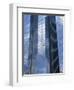 Glass Exterior of a Modern Office Building, La Defense, Paris, France, Europe-Rainford Roy-Framed Photographic Print