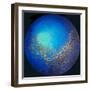 Glass fish 3, 2012-Odile Kidd-Framed Giclee Print