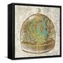 Glass Garden I-Chariklia Zarris-Framed Stretched Canvas