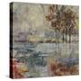 Glass Lake-Jodi Maas-Stretched Canvas