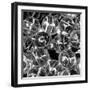 Glass Marbles I-null-Framed Art Print