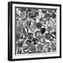 Glass Marbles II-null-Framed Art Print