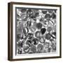 Glass Marbles II-null-Framed Art Print