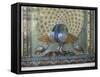 Glass Mosaic Peacock Dating from the Late 19th Century, in City Palace, Udaipur, India-Richard Ashworth-Framed Stretched Canvas