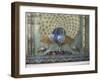 Glass Mosaic Peacock Dating from the Late 19th Century, in City Palace, Udaipur, India-Richard Ashworth-Framed Photographic Print