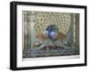 Glass Mosaic Peacock Dating from the Late 19th Century, in City Palace, Udaipur, India-Richard Ashworth-Framed Photographic Print