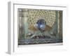 Glass Mosaic Peacock Dating from the Late 19th Century, in City Palace, Udaipur, India-Richard Ashworth-Framed Photographic Print