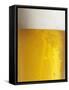 Glass of Beer with Condensation-Kai Stiepel-Framed Stretched Canvas