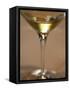 Glass of Champagne, Champagne Jacquesson in Dizy, Vallee De La Marne, Ardennes, France-Per Karlsson-Framed Stretched Canvas