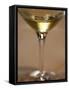 Glass of Champagne, Champagne Jacquesson in Dizy, Vallee De La Marne, Ardennes, France-Per Karlsson-Framed Stretched Canvas