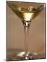 Glass of Champagne, Champagne Jacquesson in Dizy, Vallee De La Marne, Ardennes, France-Per Karlsson-Mounted Photographic Print