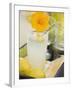 Glass of Lemonade with Flower, Lemons on Tray-Foodcollection-Framed Photographic Print