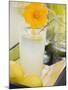 Glass of Lemonade with Flower, Lemons on Tray-Foodcollection-Mounted Photographic Print