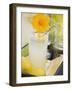 Glass of Lemonade with Flower, Lemons on Tray-Foodcollection-Framed Photographic Print