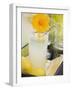 Glass of Lemonade with Flower, Lemons on Tray-Foodcollection-Framed Photographic Print