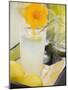 Glass of Lemonade with Flower, Lemons on Tray-Foodcollection-Mounted Photographic Print