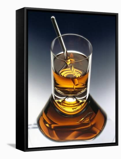 Glass of Liquor with Glass Stick-ATU Studios-Framed Stretched Canvas