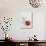 Glass of Milk and Red Apple-Roger Stowell-Photographic Print displayed on a wall