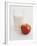 Glass of Milk and Red Apple-Roger Stowell-Framed Photographic Print