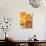 Glass of Orange Juice, Grapefruit and Oranges-null-Stretched Canvas displayed on a wall