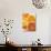 Glass of Orange Juice, Grapefruit and Oranges-null-Photographic Print displayed on a wall