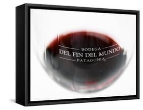 Glass of Red Wine, Bodega Del Fin Del Mundo, the End of the World, Neuquen, Patagonia, Argentina-Per Karlsson-Framed Stretched Canvas