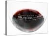 Glass of Red Wine, Bodega Del Fin Del Mundo, the End of the World, Neuquen, Patagonia, Argentina-Per Karlsson-Stretched Canvas