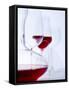 Glass of Red Wine, Carafe and Empty Wine Glasses-null-Framed Stretched Canvas