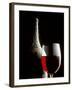 Glass of Red Wine with Aged Bottle, Cobwebs-Bodo A^ Schieren-Framed Photographic Print