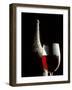 Glass of Red Wine with Aged Bottle, Cobwebs-Bodo A^ Schieren-Framed Photographic Print
