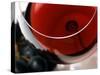 Glass of Red Wine with Grapes-Foodcollection-Stretched Canvas