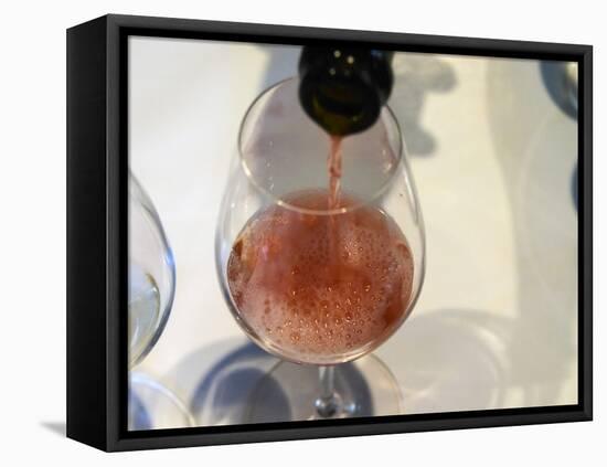 Glass of Rose, Champagne Jacquesson in Dizy, Vallee De La Marne, Ardennes, France-Per Karlsson-Framed Stretched Canvas