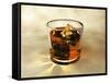 Glass of Whiskey, Computer Artwork-Christian Darkin-Framed Stretched Canvas