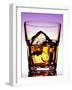 Glass of Whiskey with Ice Cubes-Peter Howard Smith-Framed Photographic Print