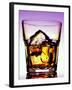 Glass of Whiskey with Ice Cubes-Peter Howard Smith-Framed Photographic Print