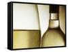 Glass of White Wine and Bottle-Steve Lupton-Framed Stretched Canvas