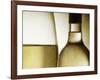 Glass of White Wine and Bottle-Steve Lupton-Framed Photographic Print