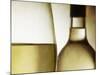 Glass of White Wine and Bottle-Steve Lupton-Mounted Photographic Print