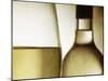 Glass of White Wine and Bottle-Steve Lupton-Mounted Photographic Print