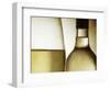 Glass of White Wine and Bottle-Steve Lupton-Framed Photographic Print