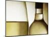 Glass of White Wine and Bottle-Steve Lupton-Mounted Photographic Print