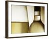 Glass of White Wine and Bottle-Steve Lupton-Framed Photographic Print