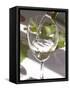 Glass of White Wine, Chateau Belgrave, Haut-Medoc, Grand Crus Classee, France-Per Karlsson-Framed Stretched Canvas