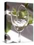 Glass of White Wine, Chateau Belgrave, Haut-Medoc, Grand Crus Classee, France-Per Karlsson-Stretched Canvas