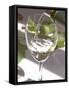 Glass of White Wine, Chateau Belgrave, Haut-Medoc, Grand Crus Classee, France-Per Karlsson-Framed Stretched Canvas