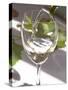 Glass of White Wine, Chateau Belgrave, Haut-Medoc, Grand Crus Classee, France-Per Karlsson-Stretched Canvas