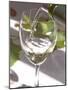 Glass of White Wine, Chateau Belgrave, Haut-Medoc, Grand Crus Classee, France-Per Karlsson-Mounted Photographic Print