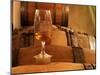 Glass of White Wine on Bung Hole Stopper, Wine Cellar of Jo Pithon, Loire Valley, France-Per Karlsson-Mounted Photographic Print