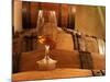 Glass of White Wine on Bung Hole Stopper, Wine Cellar of Jo Pithon, Loire Valley, France-Per Karlsson-Mounted Photographic Print